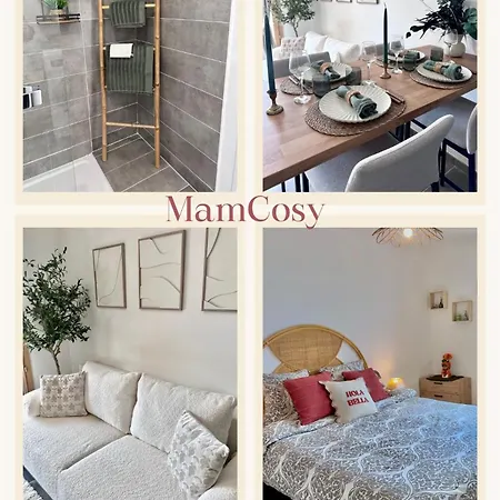 Appartement Le Mamcosy - Porte De Geneve - Pied Gare - Hyper Centre - New Eco-quartier Annemasse